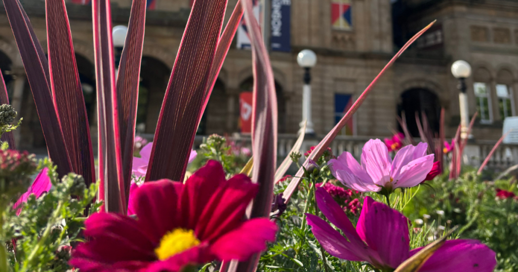 Southport’s Journey Volume 6: A New Print&nbsp;Edition